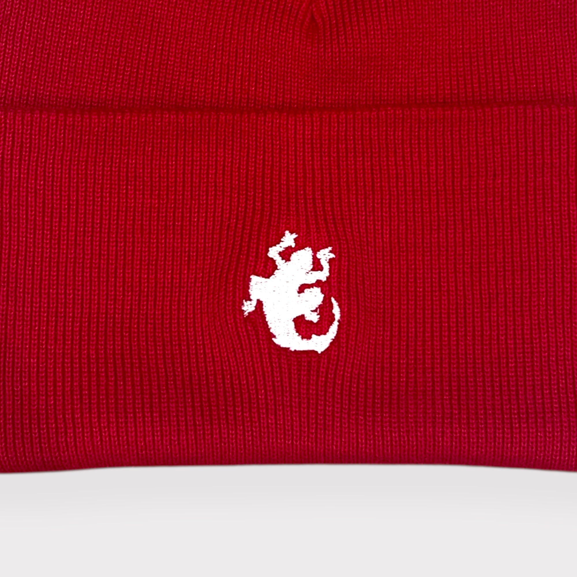 Beanie_Red_-_Close.jpg