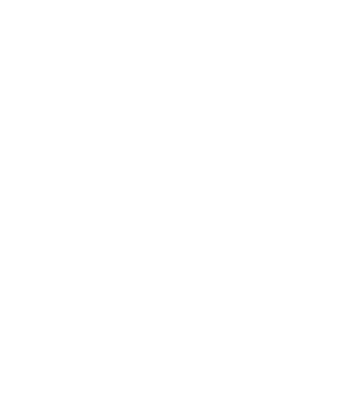 Chamillitary Lizard Logo